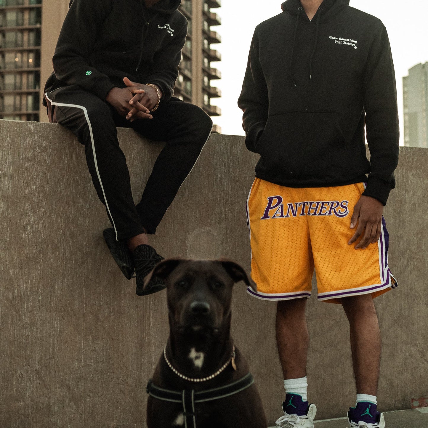 PANTHERS MESH SHORTS